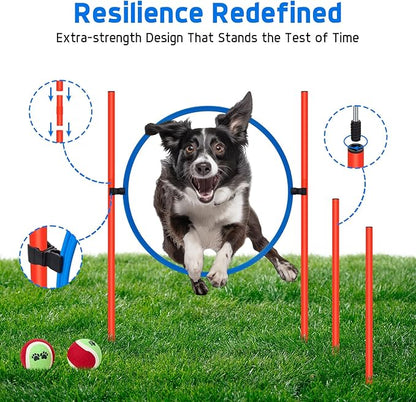 Polar Aurora Dog Agility Equipment, Dog Obstacle Courses Backyard - Image 4
