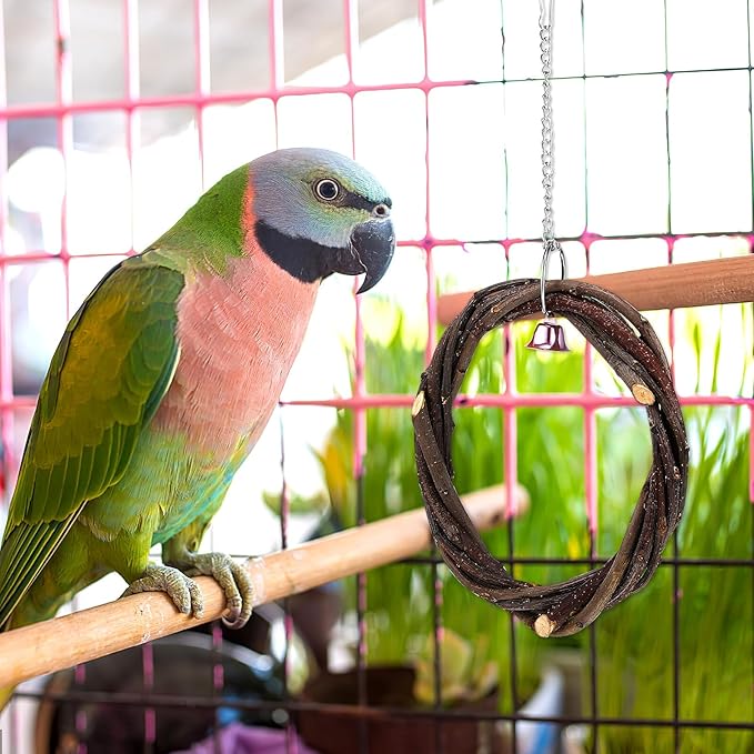 Wood Bird Swing 2pcs with Bell and Woven Ring Natural Wood Hanging - Image 4