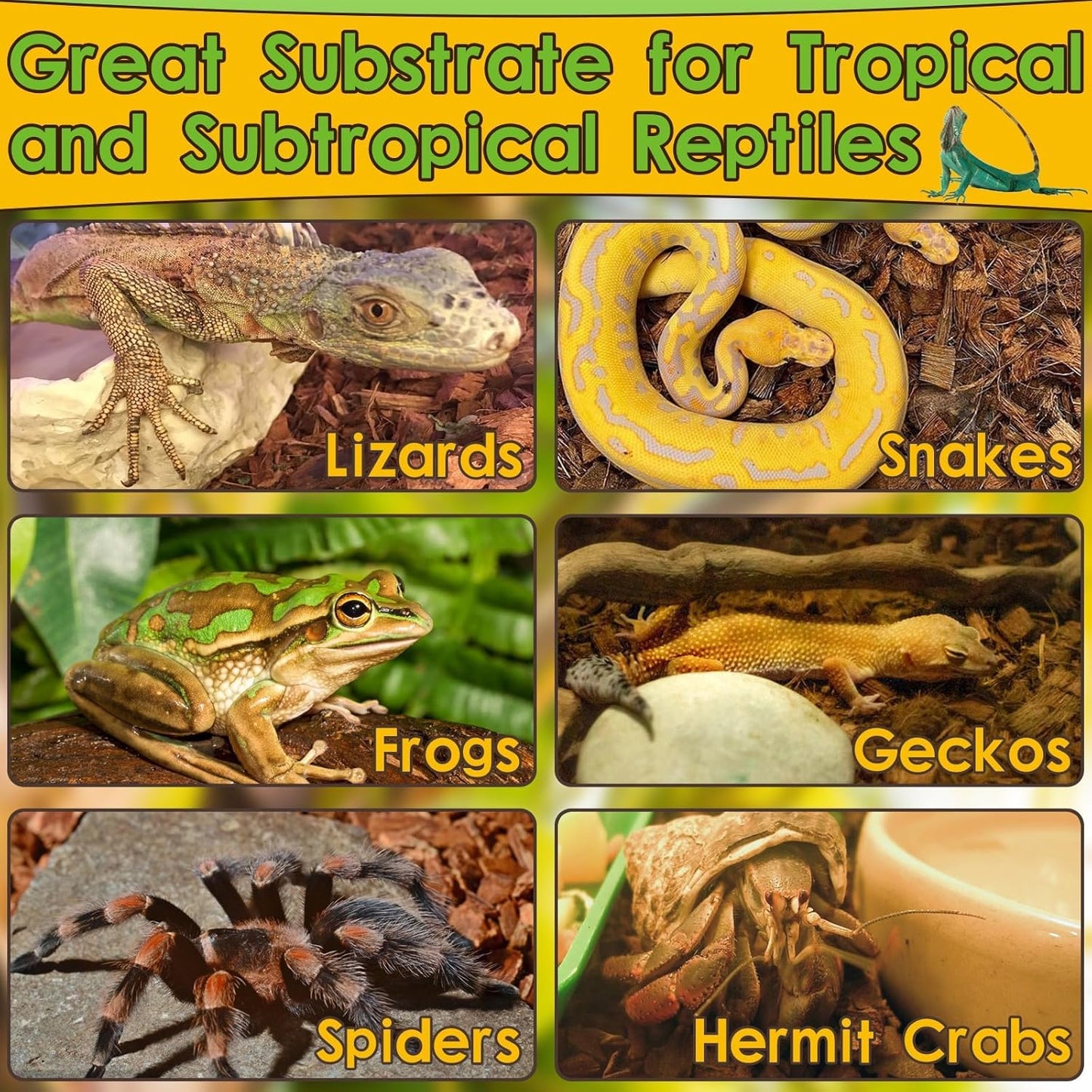Halatool 6Pack Compressed Coconut Chips Brick Natural Coconut Husk for Reptiles Bedding Coco Coir Chips Terrarium Substrate for Ball Python Frog Snake Gecko Hermit Crab Tortoise