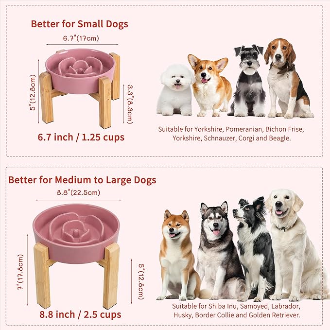 Elevated Slow Feeder Dog Bowl - Image 7