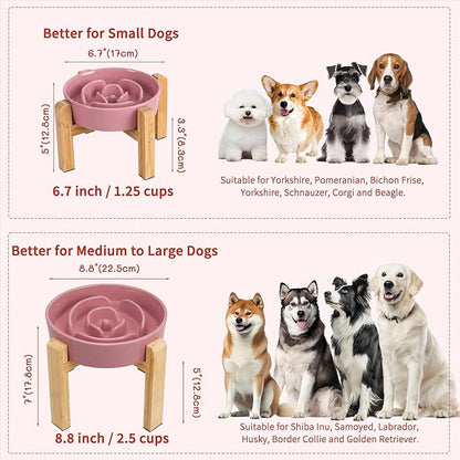 Elevated Slow Feeder Dog Bowl - Image 7