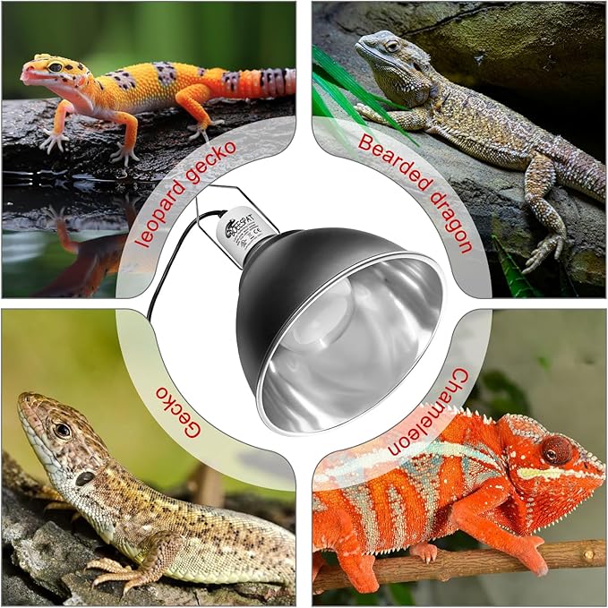 Large Caliber Reptile Lamp Cover Dome Supports Up to 250W, Diameter 7.0 Inch - Image 6