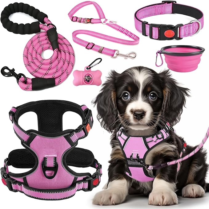 LOBEVE No Pull Dog Harness, Collar & Leash Set | Includes Dog Seat Belt by Lovebegetslove