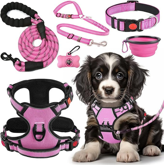 LOBEVE No Pull Dog Harness, Collar & Leash Set | Includes Dog Seat Belt by Lovebegetslove