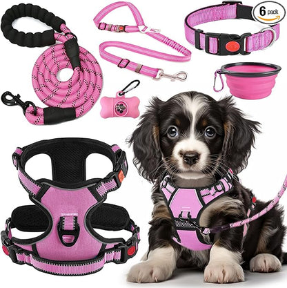 LOBEVE No Pull Dog Harness, Collar & Leash Set | Includes Dog Seat Belt by Lovebegetslove