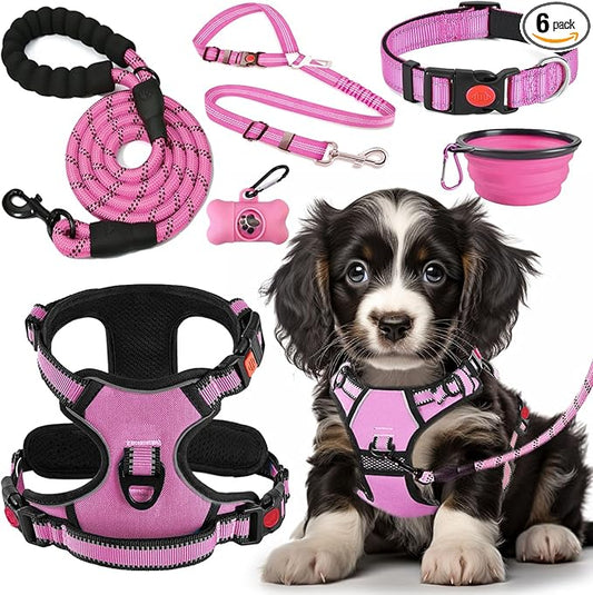 LOBEVE No Pull Dog Harness, Collar & Leash Set | Includes Dog Seat Belt by Lovebegetslove