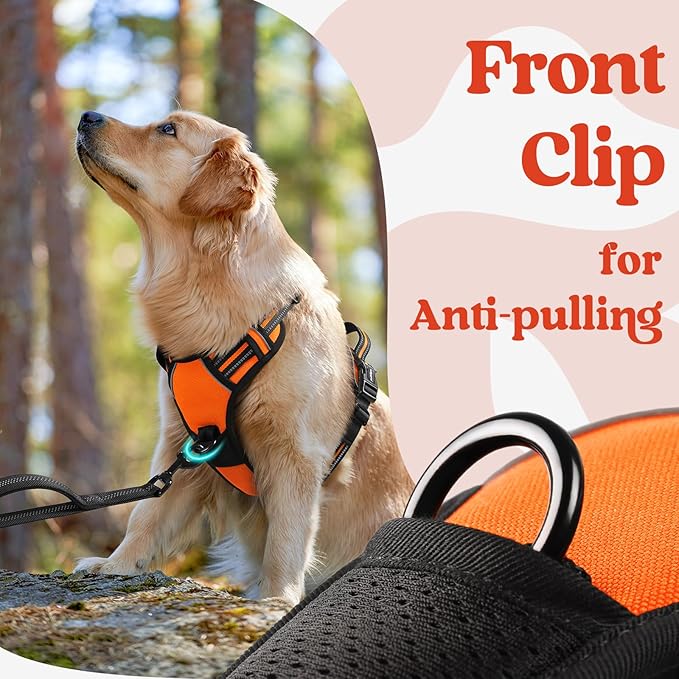 rabbitgoo Dog Harness Medium Sized, No Pull Easy On & Off - Image 7