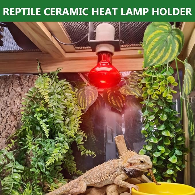2PCS Reptile Light Fixture, Reptile Terrarium Heat Lamps Holder Bracket - Image 6