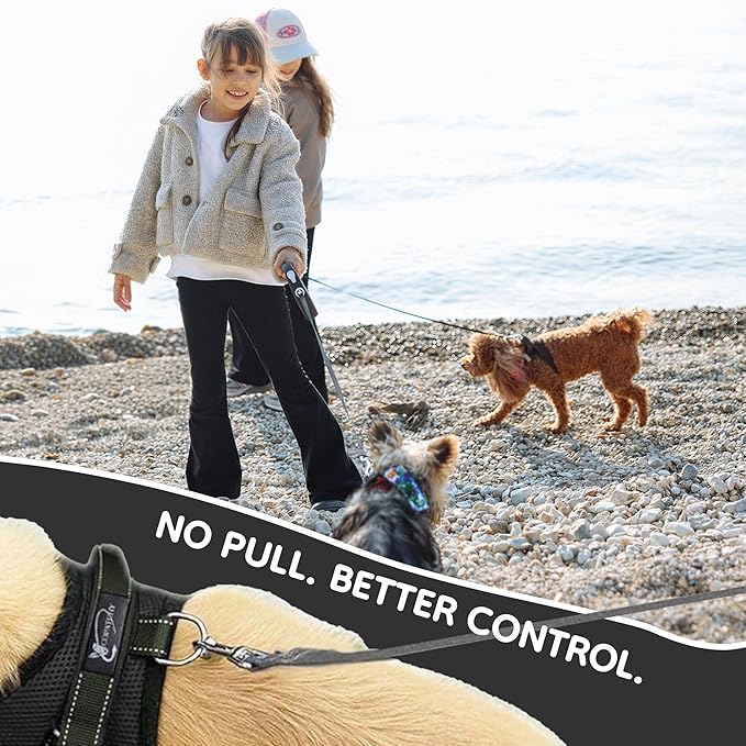 No Pull Reflective Adjustable Dog Harness - Image 6