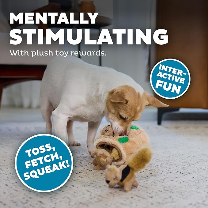 Outward Hound Hide-A-Squirrel Dog Toy – Interactive 2‑in‑1 Plush Puzzle - Image 4
