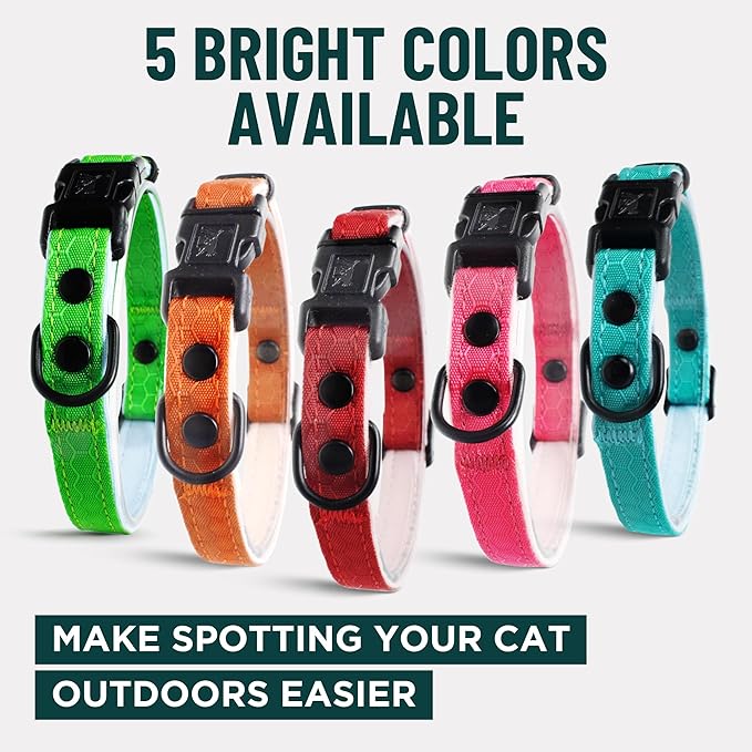 OutdoorBengal Pink Breakaway Kitten Collar - Image 7