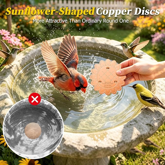 Bird Bath Copper Disk - Image 4