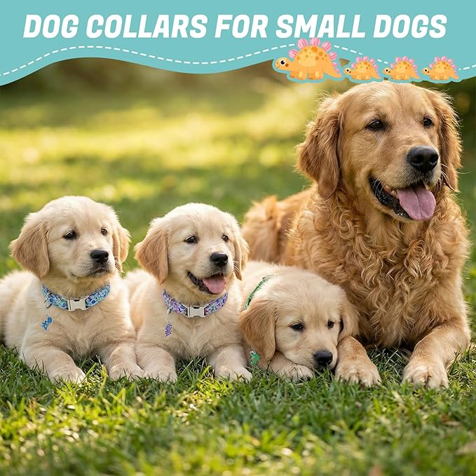 3 Pack Dinosaur Dog Collars for Small Dogs Cute Dog Collars - Image 7
