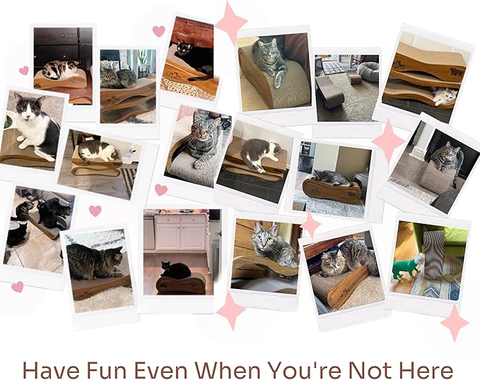 Cat Scratcher 2 in 1 Scratchers - Image 9