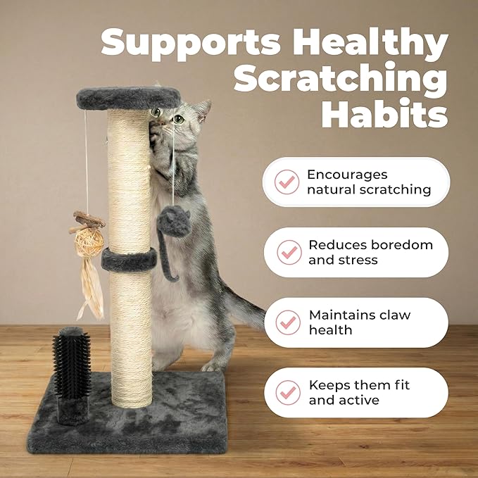 Best Pet Supplies Catify Cat Scratcher, Fun Interactive Scratchers, Claw Safe - Image 4