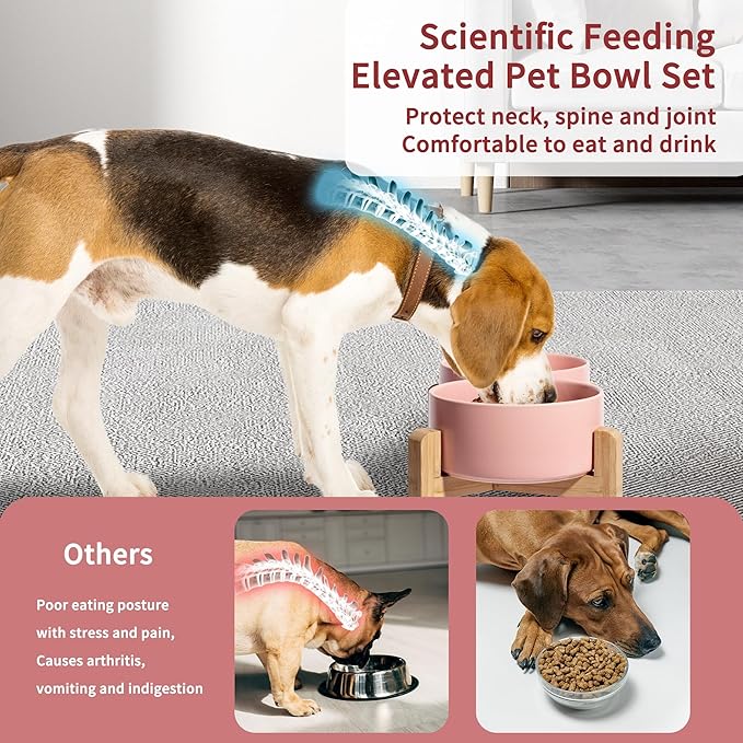 Elevated Ceramic Dog Bowl Set - Image 4
