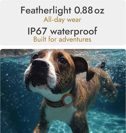 Molly&Cody GPS + Bluetooth Pet Tracker - Image 9