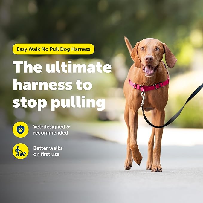 PetSafe Easy Walk No-Pull Dog Harness - Image 2