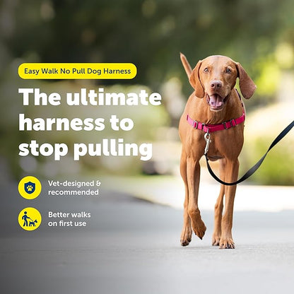 PetSafe Easy Walk No-Pull Dog Harness - Image 2
