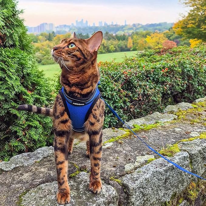 rabbitgoo Cat Harness and Leash, Step-in Escape Proof Kitten Harness Set - Image 10