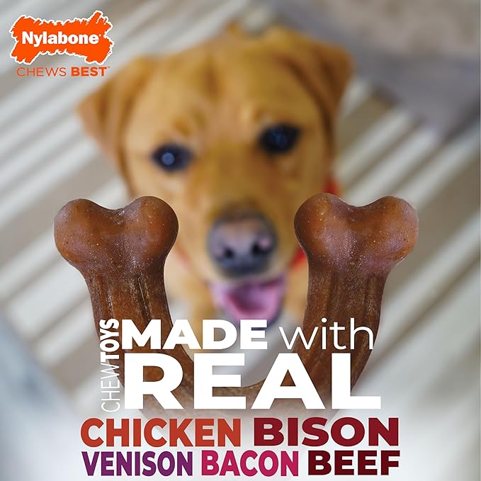 Nylabone Strong Chew Dog Toy 4-Pack Made - Image 10