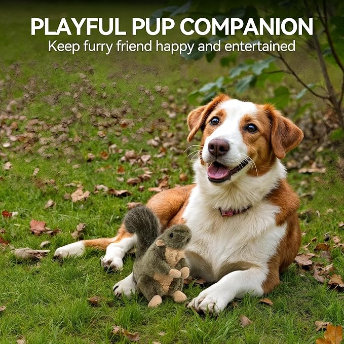 ALL FOR PAWS Classic Squirrel Pet Toys - Image 8