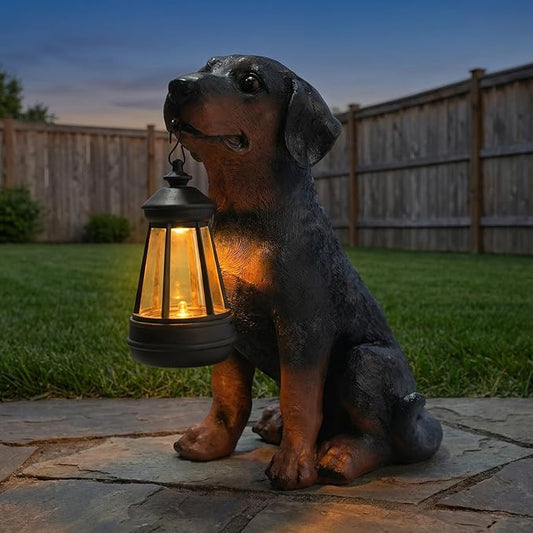 Dog Statue with Solar Lantern by HomeDecoration