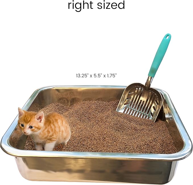 DuraScoop® Premium Multicat Cat Litter Scoop | Solid Metal | Litter Box Tray - Image 4