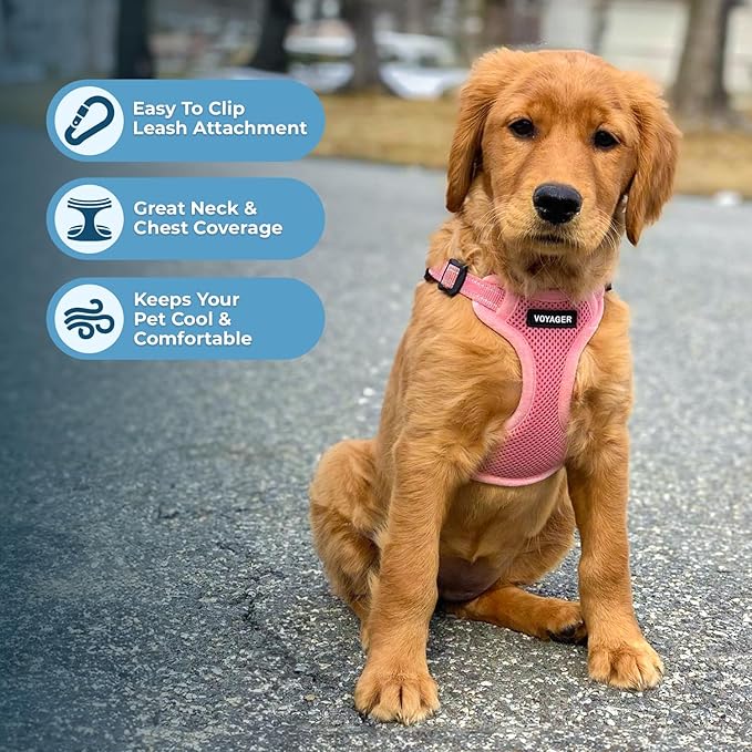 Best Pet Supplies Voyager Adjustable Step-In Flex Breathable Mesh Dog Harness - Image 5