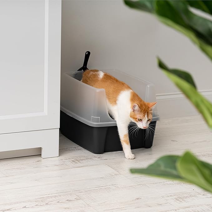 IRIS USA Cat Litter Box Large Open Top - Image 5