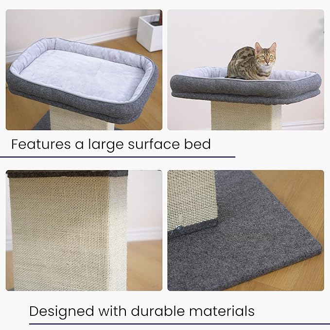 Catry Mellow 2-Level 19" Cat Tree - Image 7