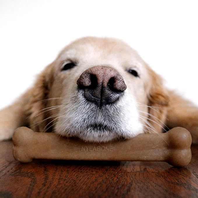 Nylabone Strong Chew Original Bone Dog Toy Made - Image 5