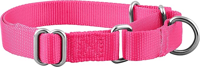 Native Pup Martingale Dog Collar, Adjustable - Image 2