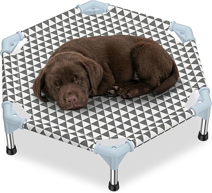 Kuntrust Elevated Outdoor Dog Bed by KuntrustDirect