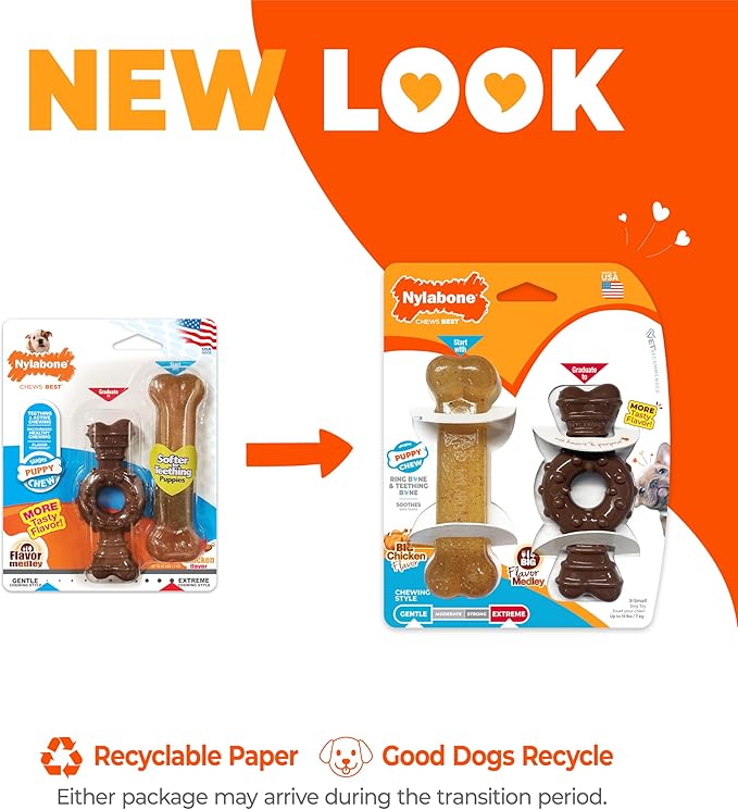 Nylabone Ring Bone Chew Toy for Puppies, Puppy Teething Toys, Puppy Enrichment - Image 3