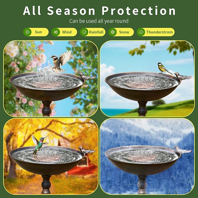 4 Pack Bird Bath Copper Disks, 99.99% Pure Copper Bird Bath Cleaner, - Image 4