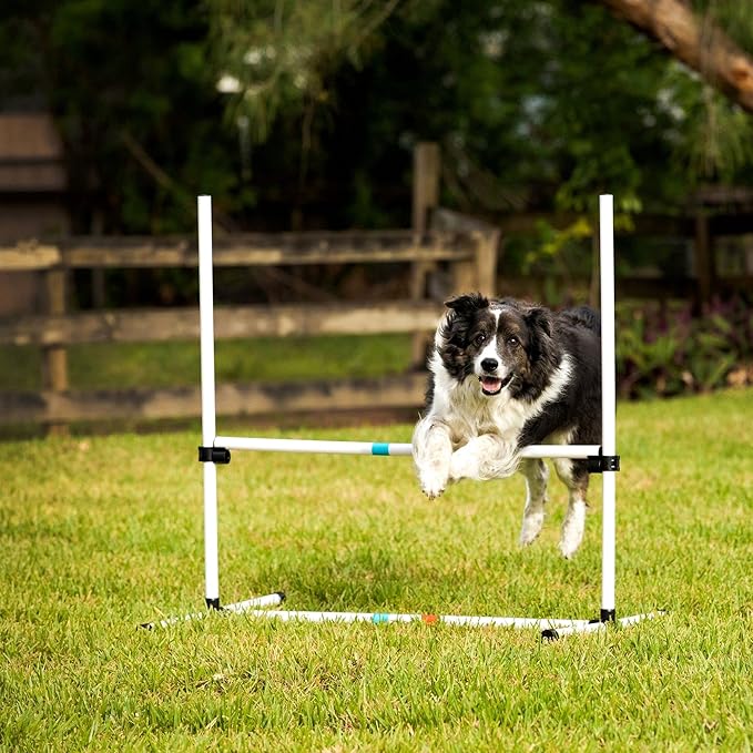 Midlee Dog Agility Bar Jumps- Set of 4 Jumps - Image 8