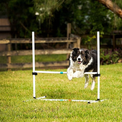 Midlee Dog Agility Bar Jumps- Set of 4 Jumps - Image 8