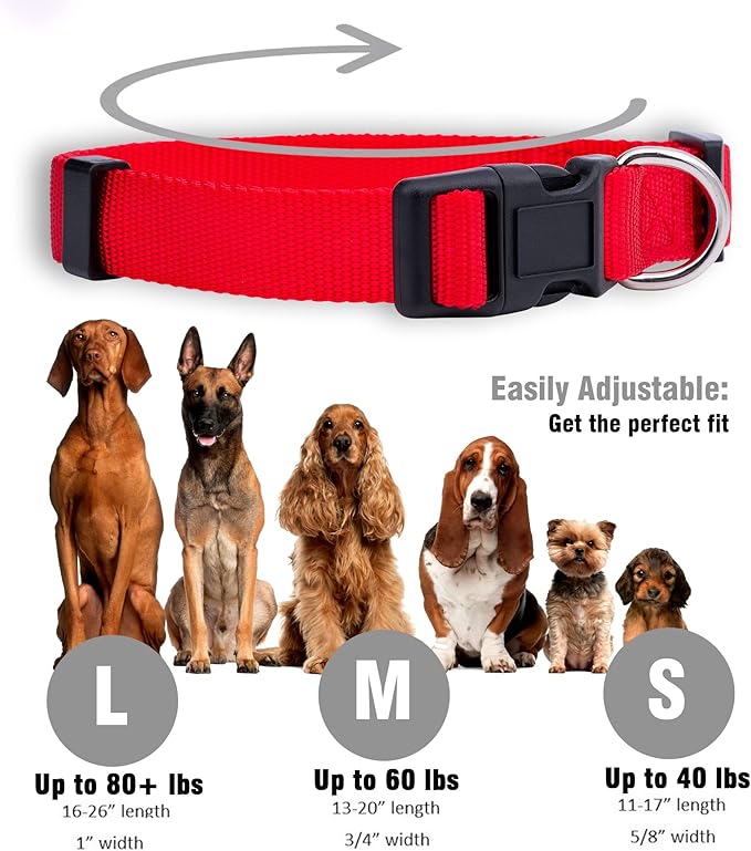 Native Pup Basic Nylon Dog Collar, Adjustable - Image 3