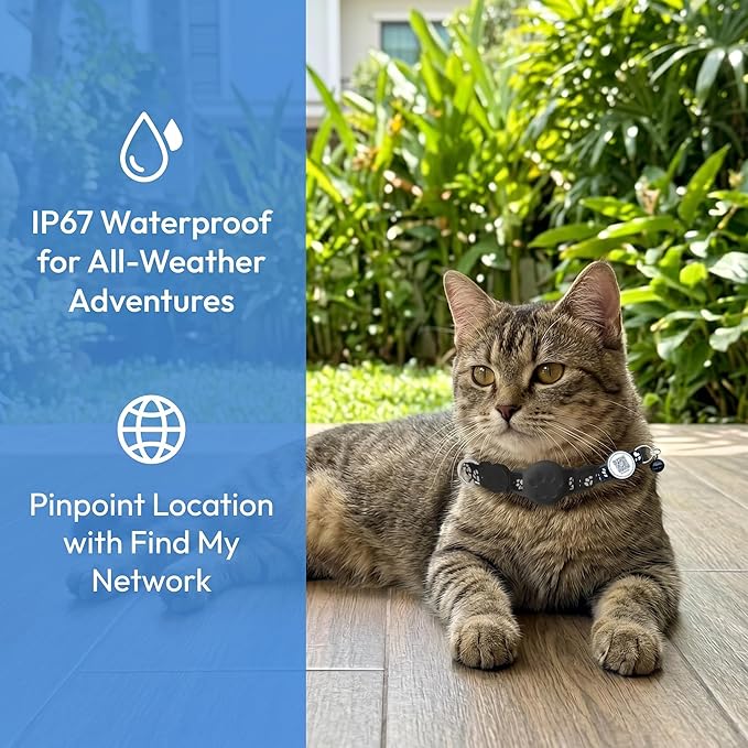Cat Tracker with QR Code GPS Collar - Image 2