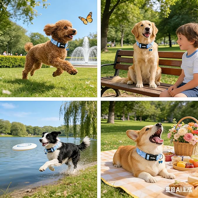 Medium Dog Collar, Girl Boy Dog Collars - Image 6