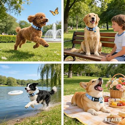 Extra Small Dog Collar, Girl Boy Dog Collars - Image 7