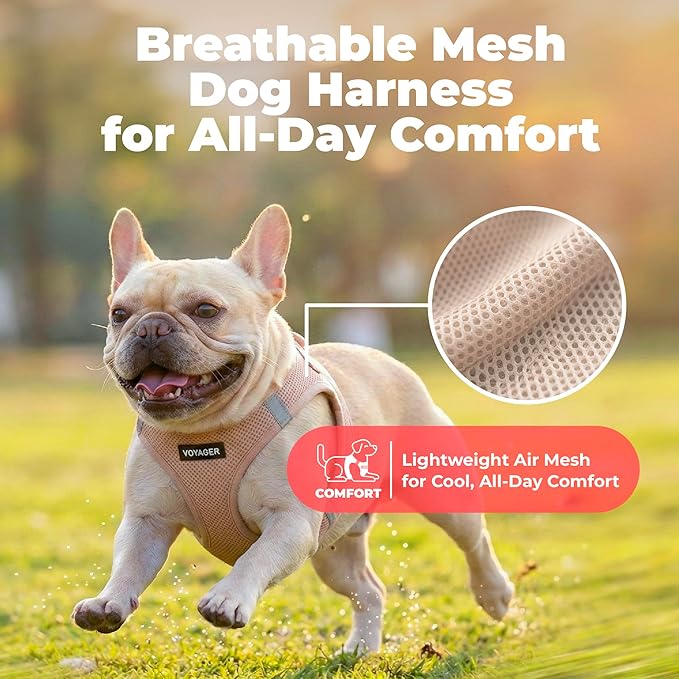 Best Pet Supplies Voyager Step-in Air Harness - Image 5
