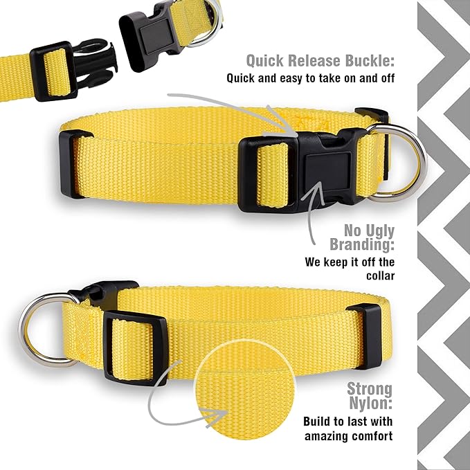 Native Pup Basic Nylon Dog Collar, Adjustable - Image 4