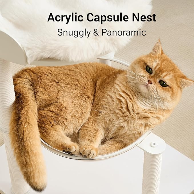 Modern Cat Tree Tower for Indoor Cats up to 12lbs, Wood Cat Bed - Image 5