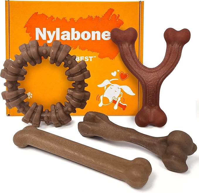 Nylabone Strong Chew Dog Toy 4-Pack Made by Nylabone