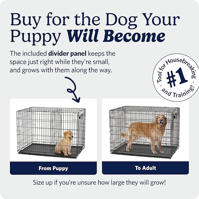 MidWest Homes for Pets 42-Inch iCrate for Large Breeds, 71-90 lbs, Double Door - Image 3