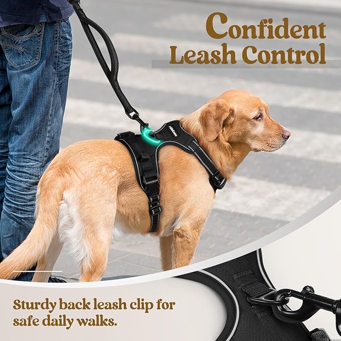 rabbitgoo Dog Harness No Pull - Image 6