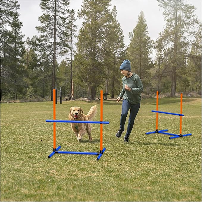 Dog Agility Training Jumping Hoop - Image 7