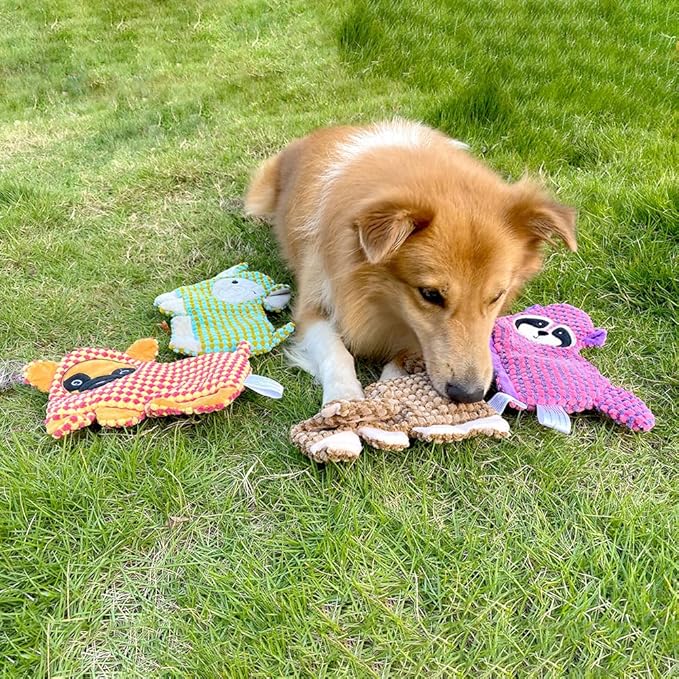 Cute No Stuffing Dog Toy for Small, Medium Breeds, Fun for Indoor Puppies - Image 6
